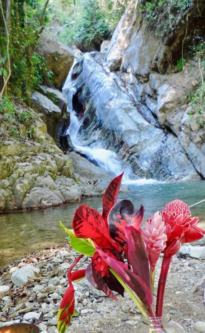 Glamping Finca Margaritas Pluma Hidalgo المظهر الخارجي الصورة
