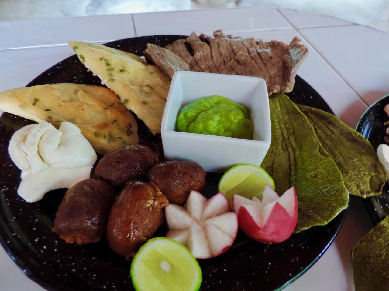 Glamping Finca Margaritas Pluma Hidalgo المظهر الخارجي الصورة