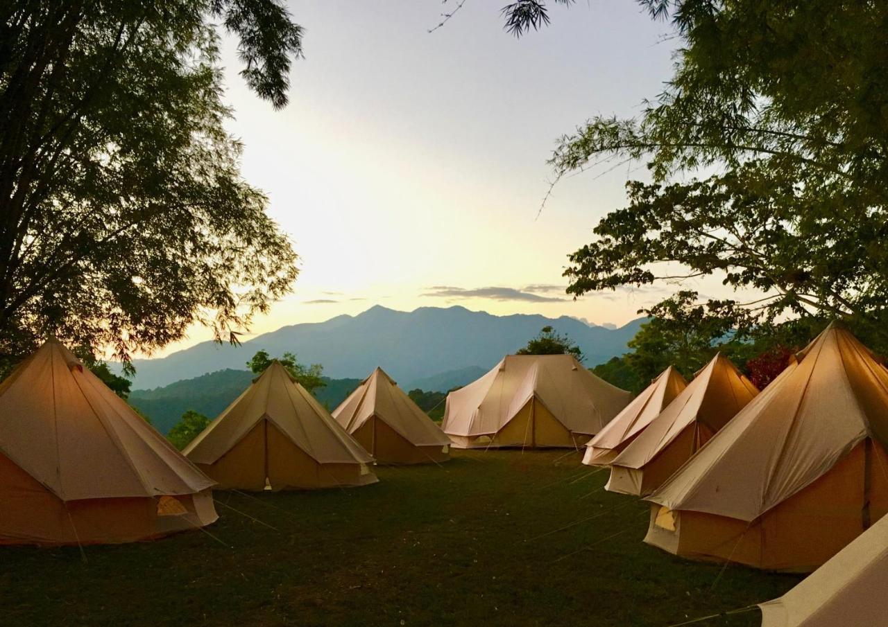 Glamping Finca Margaritas Pluma Hidalgo المظهر الخارجي الصورة